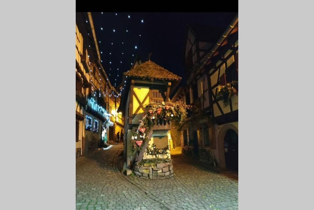 Gite A Eguisheim Proche De Colmar Et Kaysergberg. Экстерьер фото