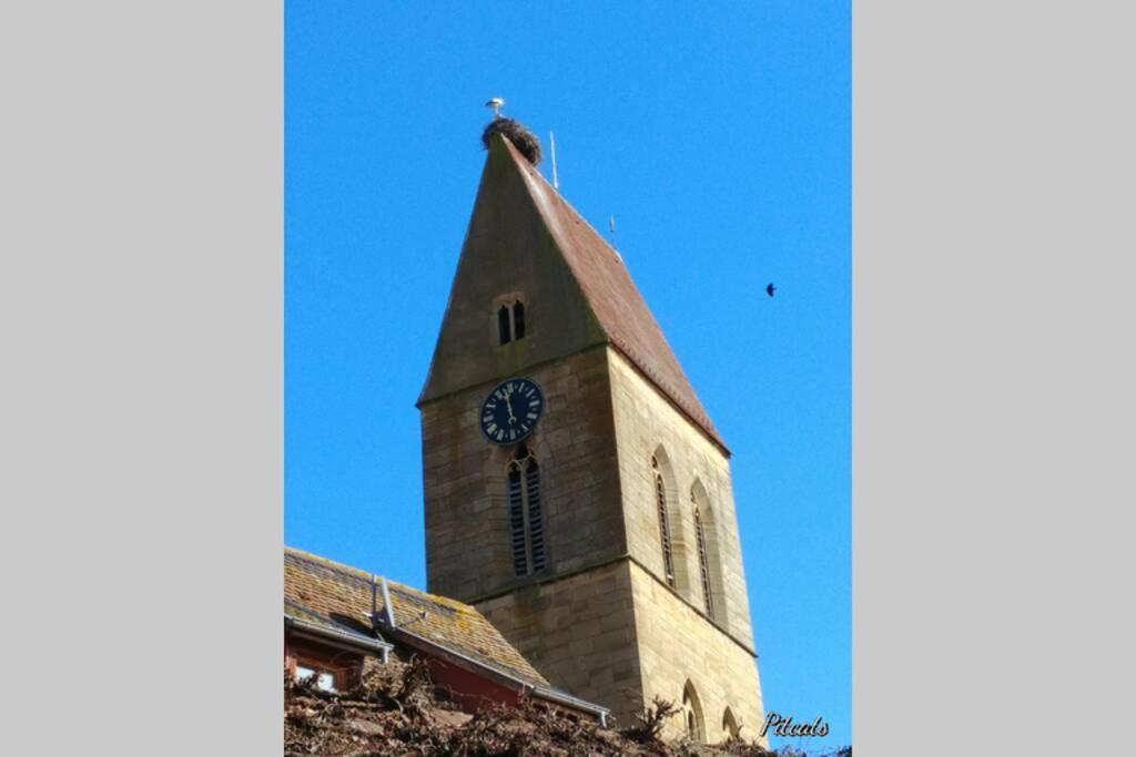 Gite A Eguisheim Proche De Colmar Et Kaysergberg. Экстерьер фото