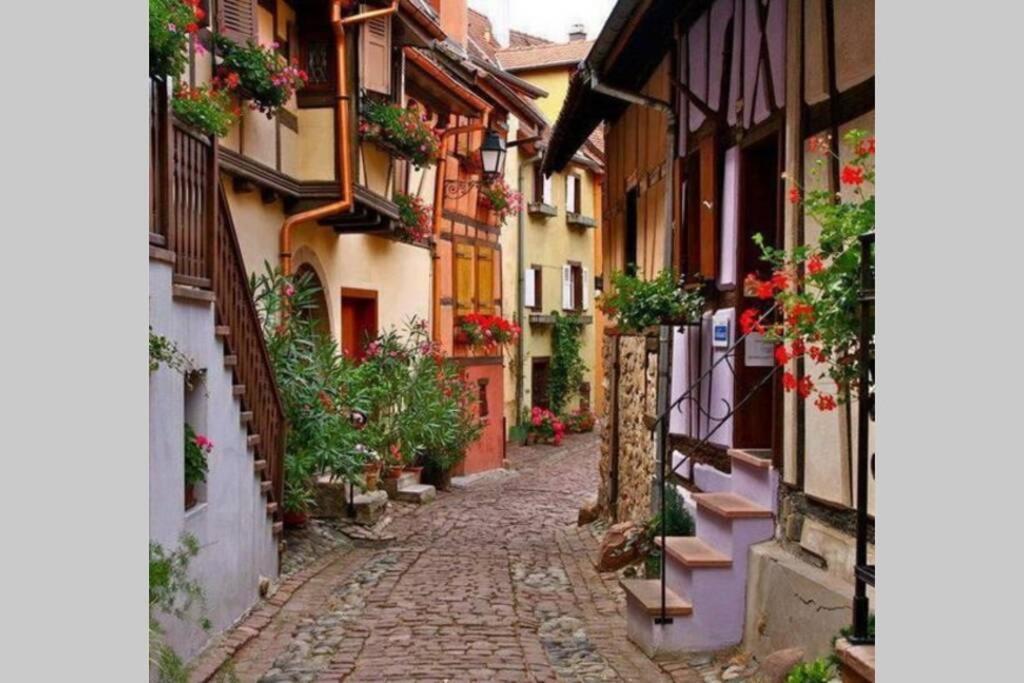 Gite A Eguisheim Proche De Colmar Et Kaysergberg. Экстерьер фото