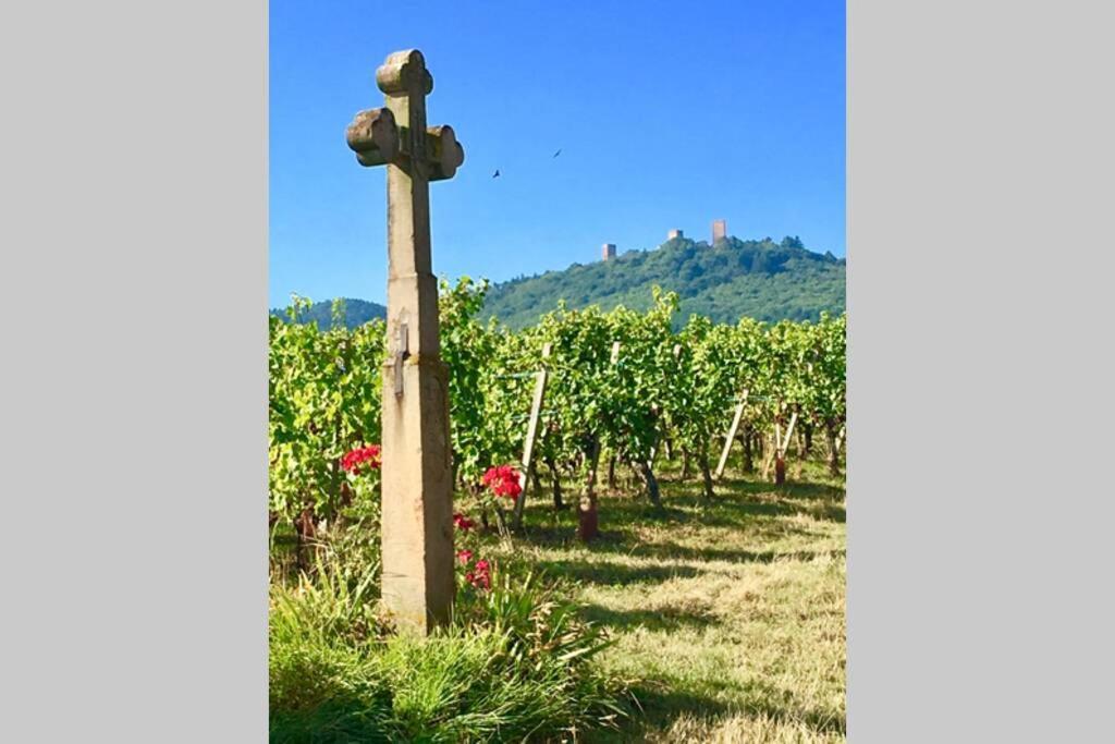 Gite A Eguisheim Proche De Colmar Et Kaysergberg. Экстерьер фото